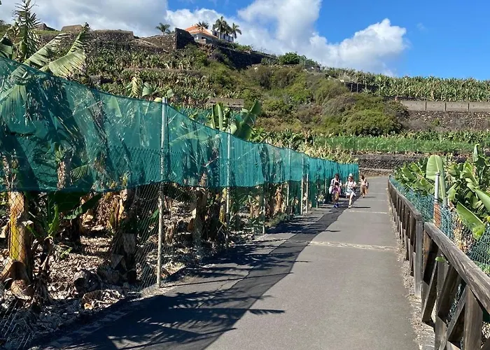 Sol Y Luna - Retreat Center בית הארחה
